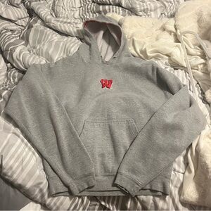 wisconsin hoodie